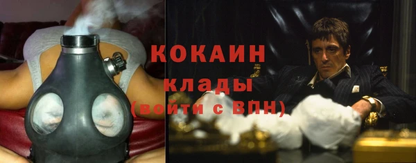 молекула духа Кинешма