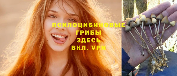 молекула духа Кинешма