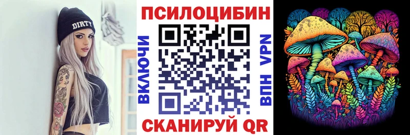Купить закладки  Жирновск  Псилоцибиновые грибы MAGIC MUSHROOMS 